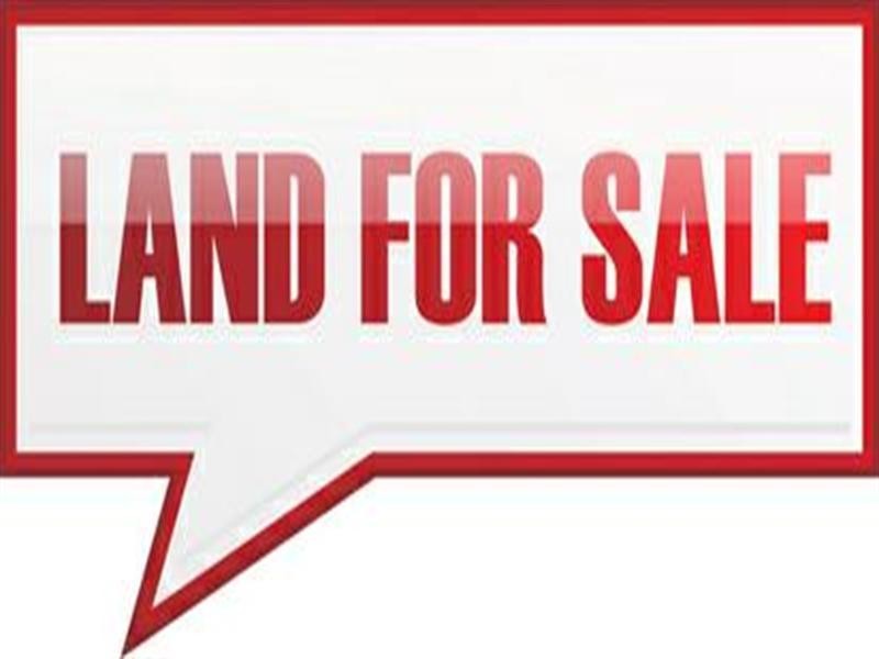 87 Algoori Street, Morningside QLD 4170