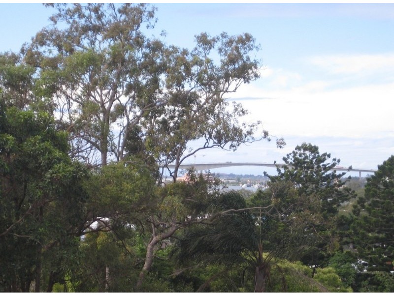 5 Taylor Street, Balmoral QLD 4171