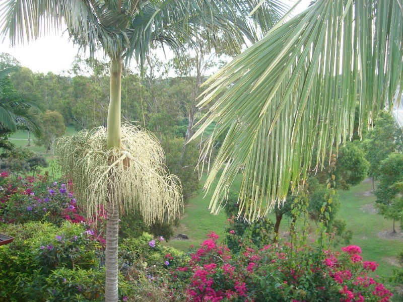 10 Quetta Close, Carindale QLD 4152