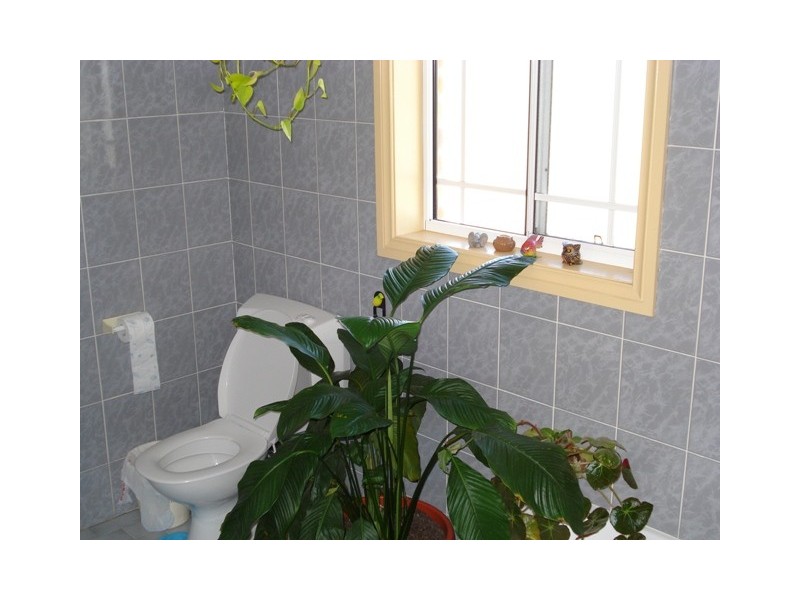 Edensor Park NSW 2176