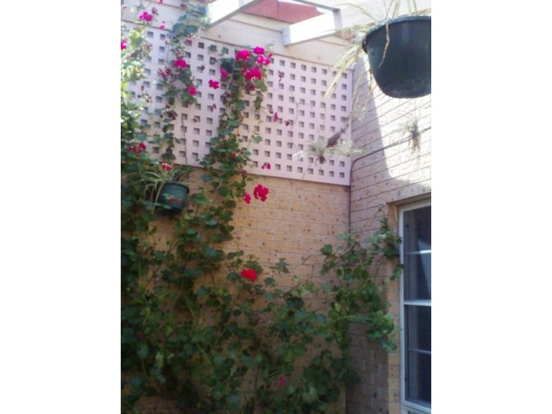 Hinchinbrook NSW 2168