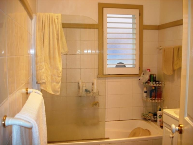 133 Canley Vale Road, Canley Heights NSW 2166