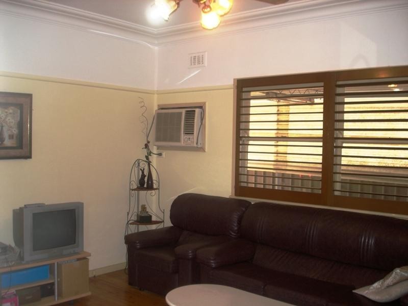 133 Canley Vale Road, Canley Heights NSW 2166