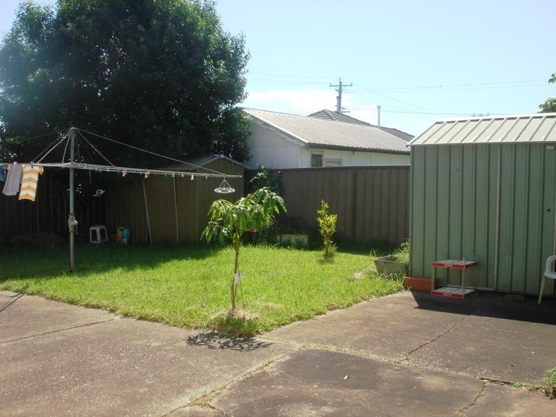133 Canley Vale Road, Canley Heights NSW 2166