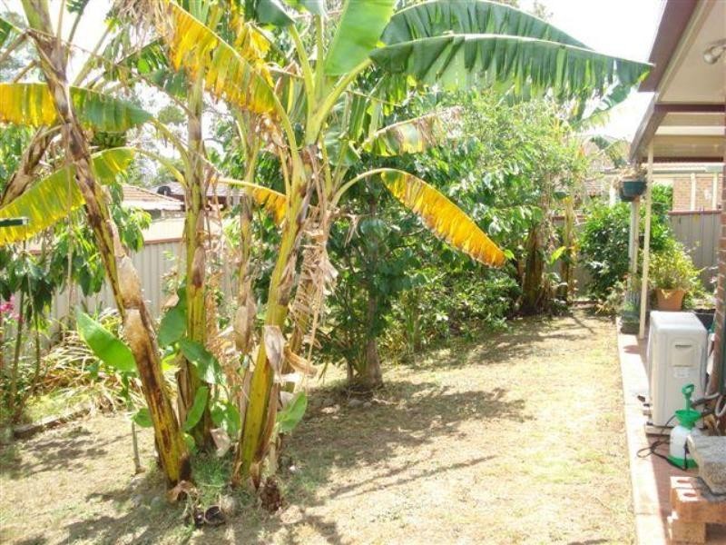 Hoxton Park NSW 2171