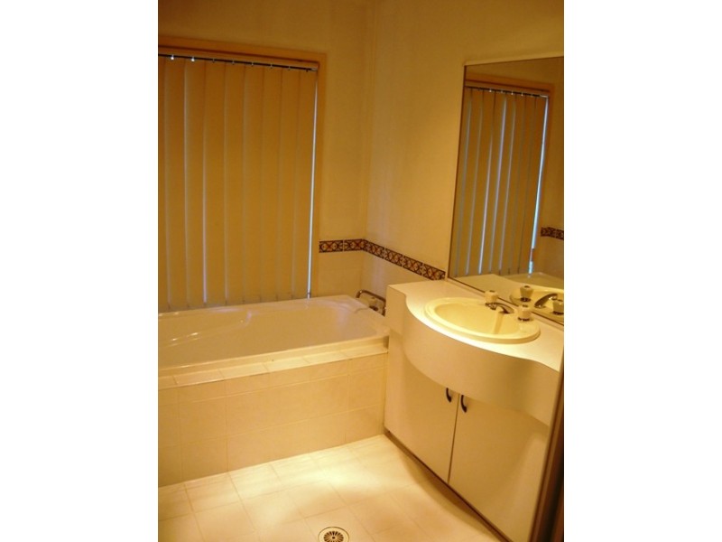 113 Sanderling Street, Hinchinbrook NSW 2168