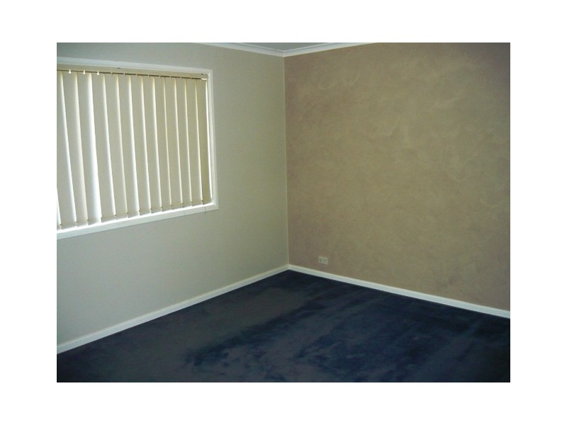 113 Sanderling Street, Hinchinbrook NSW 2168