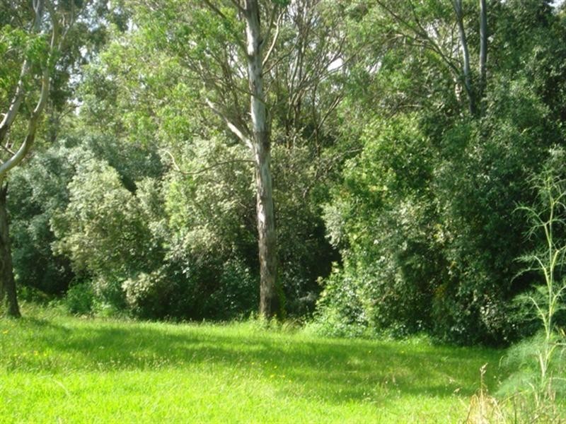 34 Casula Road, Casula NSW 2170