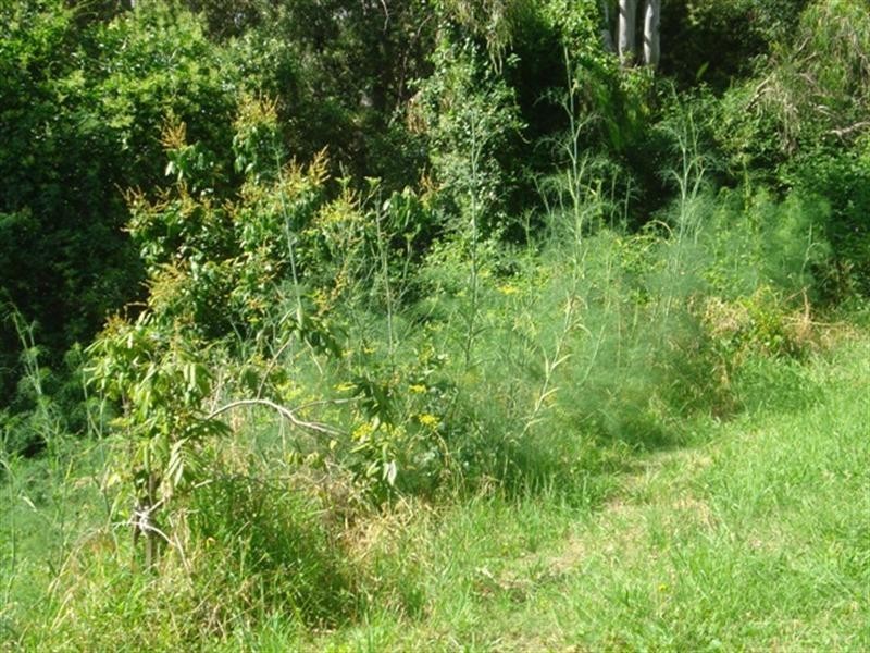 34 Casula Road, Casula NSW 2170