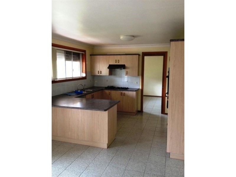 17 Emu Close, Hinchinbrook NSW 2168