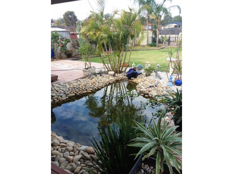 43 Cormorant Avenue, Hinchinbrook NSW 2168