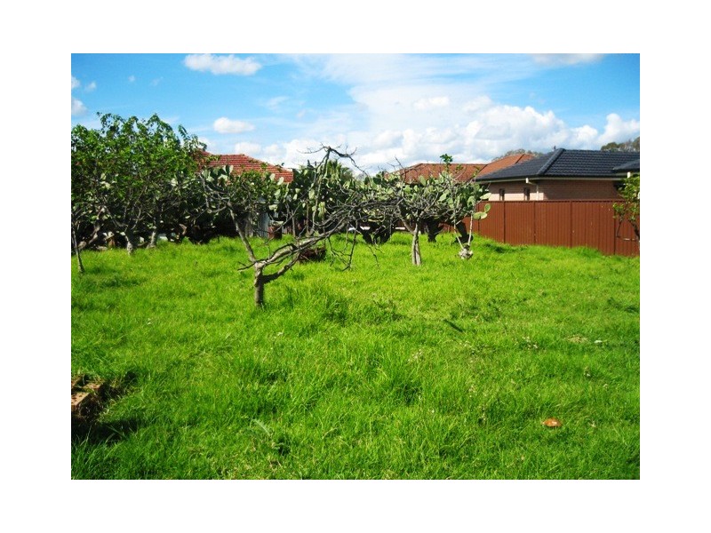 Hoxton Park NSW 2171