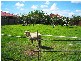 Hoxton Park NSW 2171