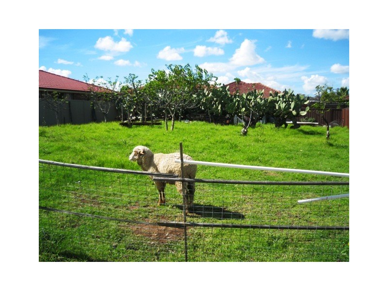Hoxton Park NSW 2171