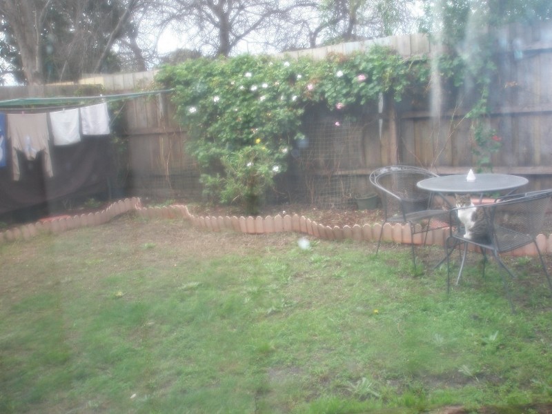 14 Bardoel Court, Chelsea VIC 3196