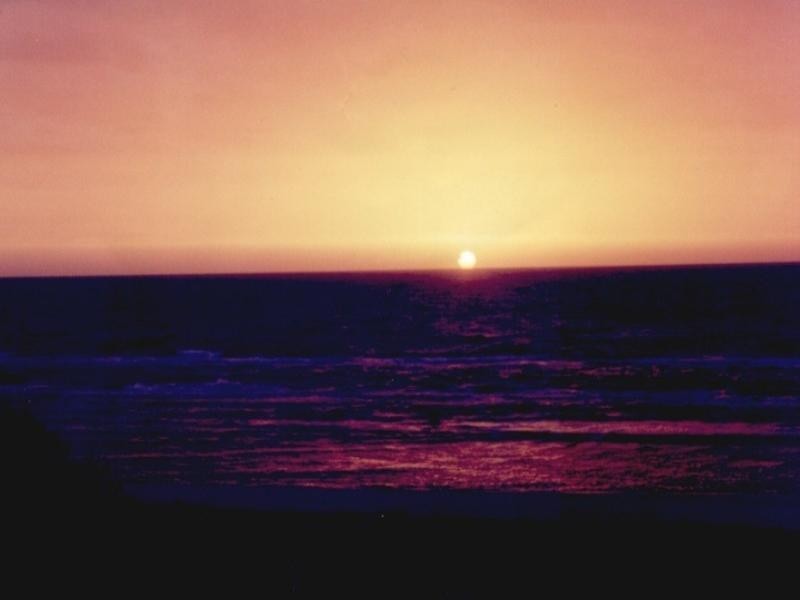 242 Station Street, Edithvale VIC 3196