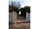 5 Ti Tree Avenue, Bonbeach VIC 3196