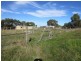 Tyabb VIC 3913
