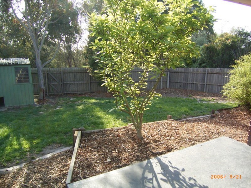 30 Melaleuca Crescent, Langwarrin VIC 3910