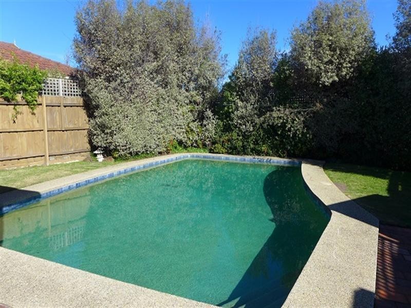 19 Wembley Avenue, Cheltenham VIC 3192