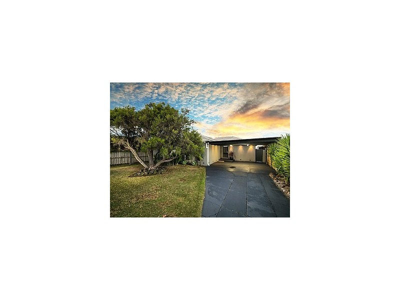 58 Snowdon Drive, Cheltenham VIC 3192