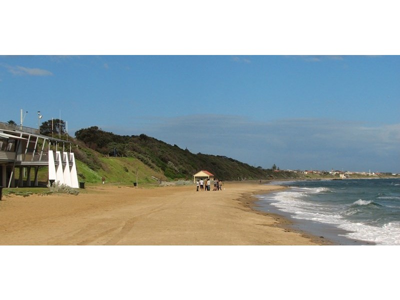 12 Ward Street, Cheltenham VIC 3192