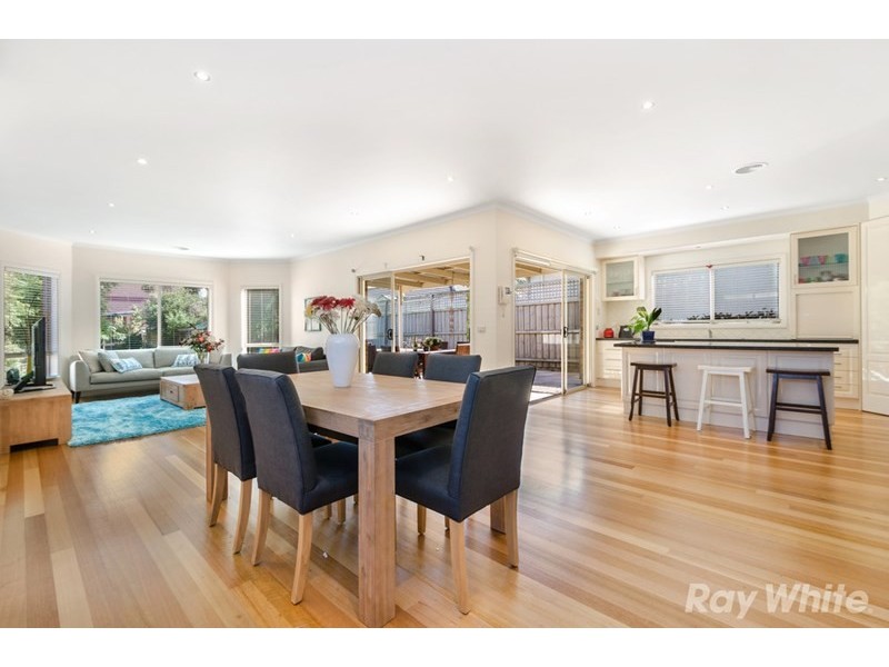 51 College Street, Elsternwick VIC 3185