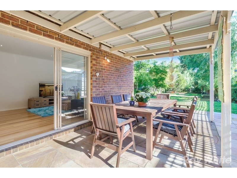 51 College Street, Elsternwick VIC 3185