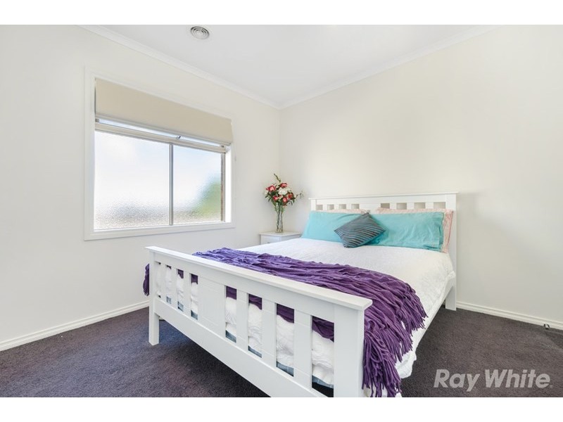 51 College Street, Elsternwick VIC 3185