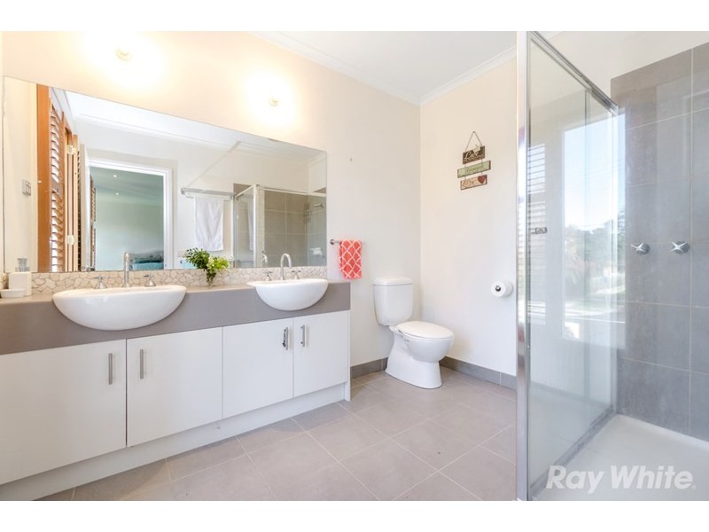 51 College Street, Elsternwick VIC 3185