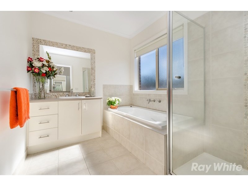 51 College Street, Elsternwick VIC 3185