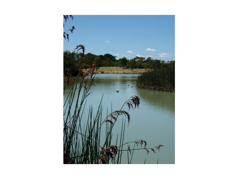 51 College Street, Elsternwick VIC 3185