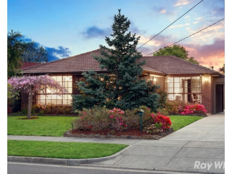 25 Harkaway Drive, Cheltenham VIC 3192