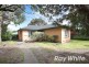 105 Wilson Street, Cheltenham VIC 3192