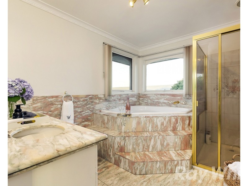 46 Snowdon Drive, Cheltenham VIC 3192