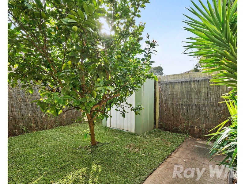 9/126 Argus Street, Cheltenham VIC 3192