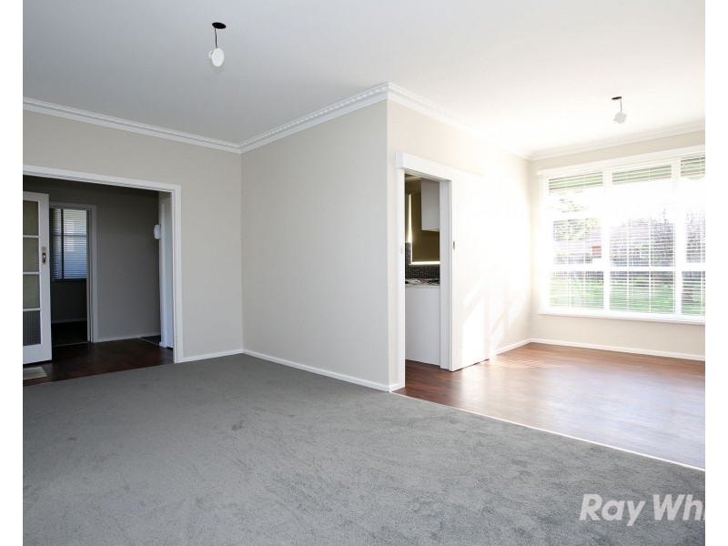 13 Moonda Grove, Cheltenham VIC 3192