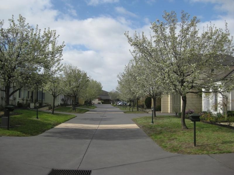 6 Martens Place, Dingley Village VIC 3172