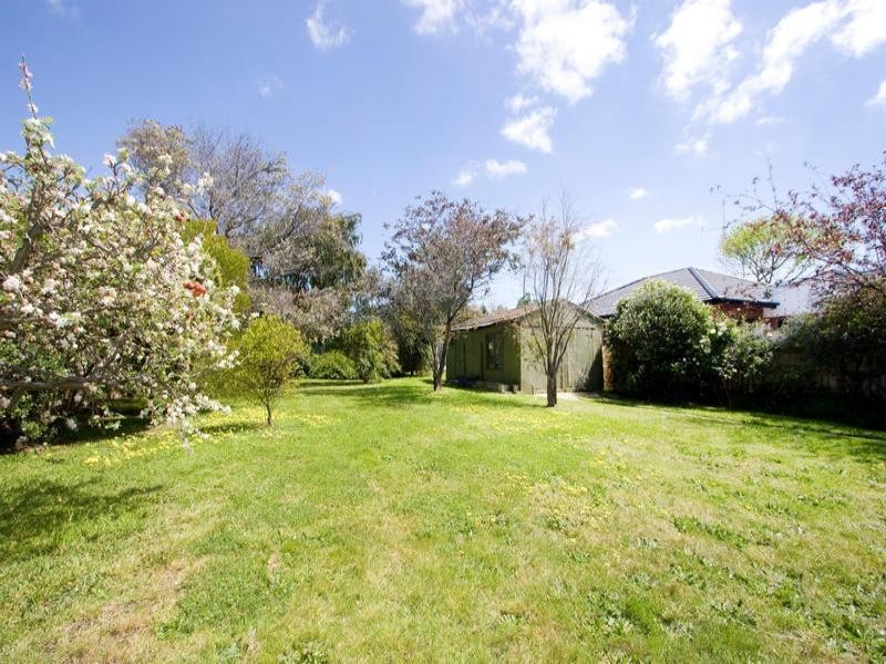 17 Blackwood Avenue, Mentone VIC 3194