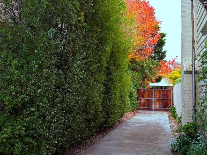 6B Stuart Avenue, Cheltenham VIC 3192