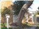 4 Pacific Boulevard, Beaumaris VIC 3193