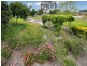 11 Woodland Drive, Cheltenham VIC 3192