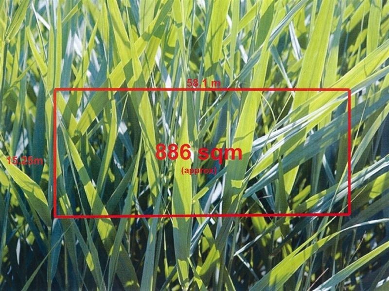 24 Lorna Street, Cheltenham VIC 3192