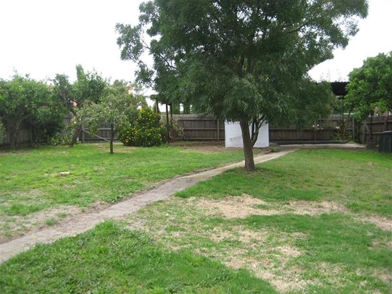 19 Axelton Street, Cheltenham VIC 3192