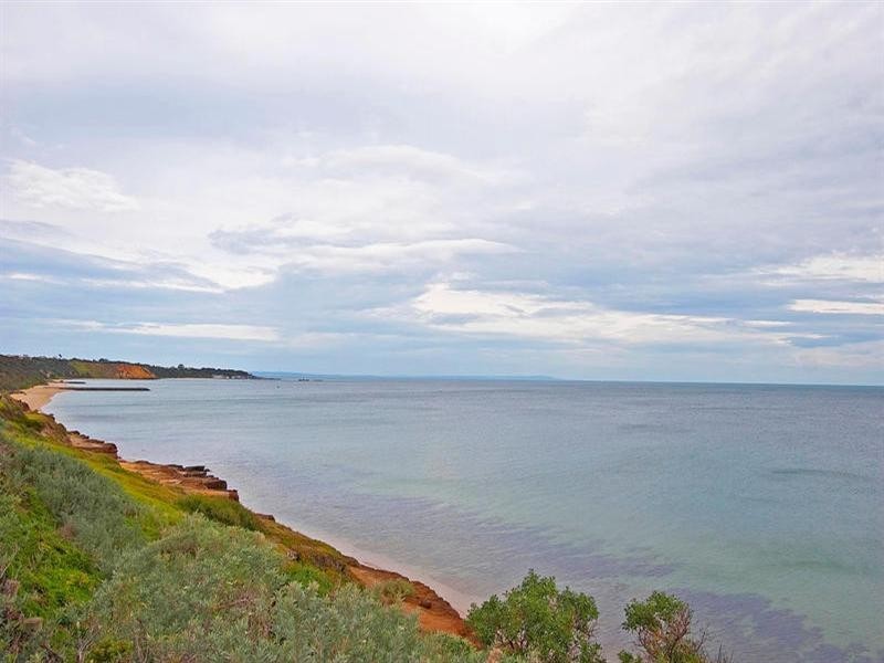 11/41 Bay Road, Sandringham VIC 3191