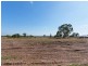 Lot 1625 Sandhurst Boulevard, Sandhurst VIC 3977