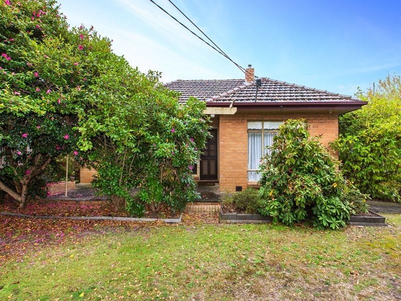 17 Acacia Avenue, Mentone VIC 3194