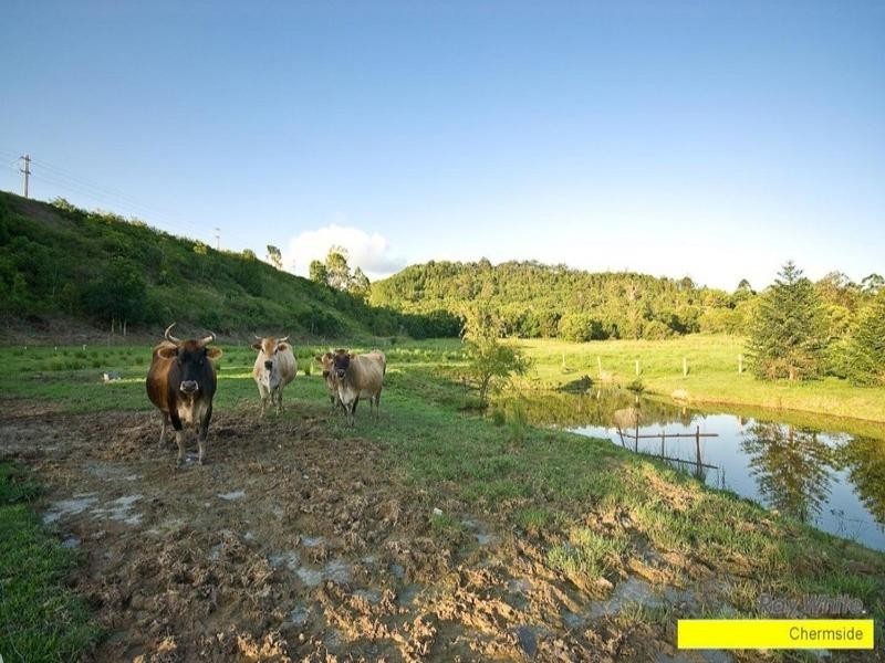 11 Wilkes Lane, Eumundi QLD 4562