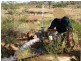 ‘ GLENDILLA, Cunnamulla QLD 4490