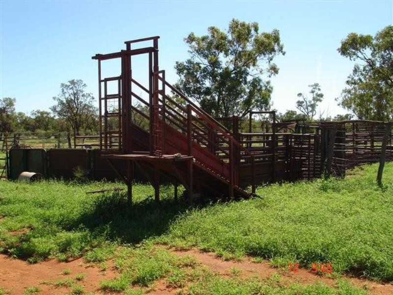 ‘ GLENDILLA, Cunnamulla QLD 4490